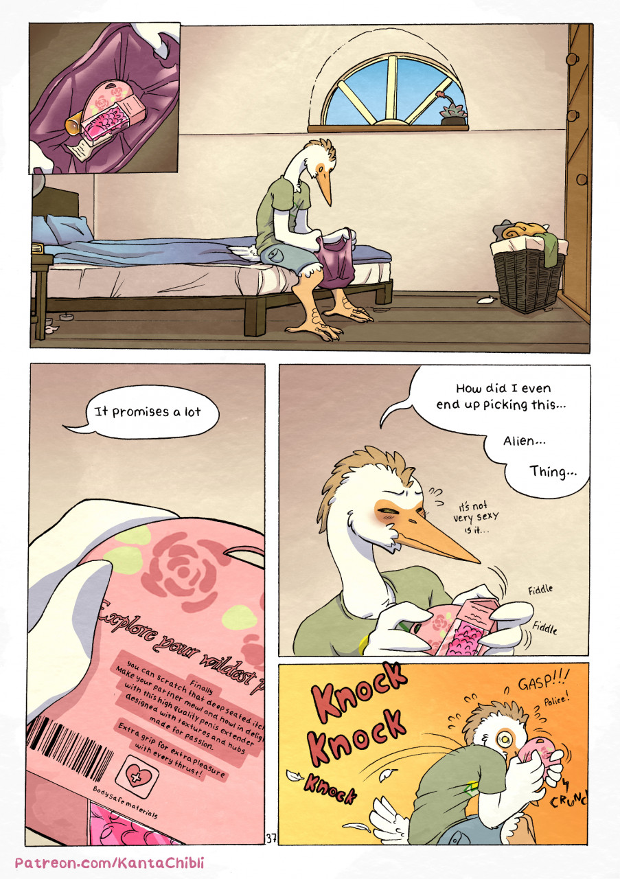 Page 36